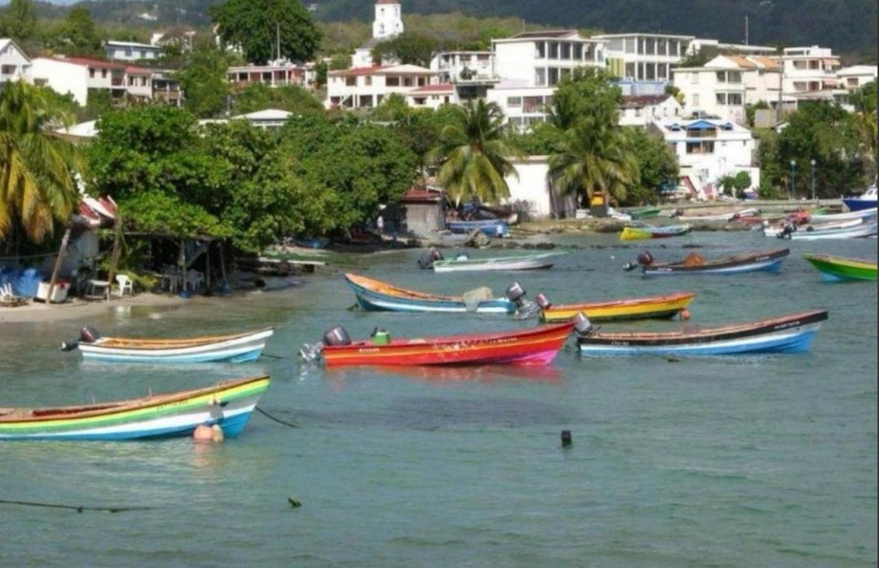 T2 Les Pieds Dans L'Eau Face A La Mer Des Caraibes Sainte Luce - Trois Rivieres Exterior foto